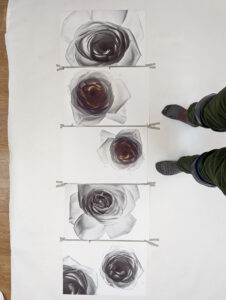 Fluxus Series year 2022 by Paul Solberg copy