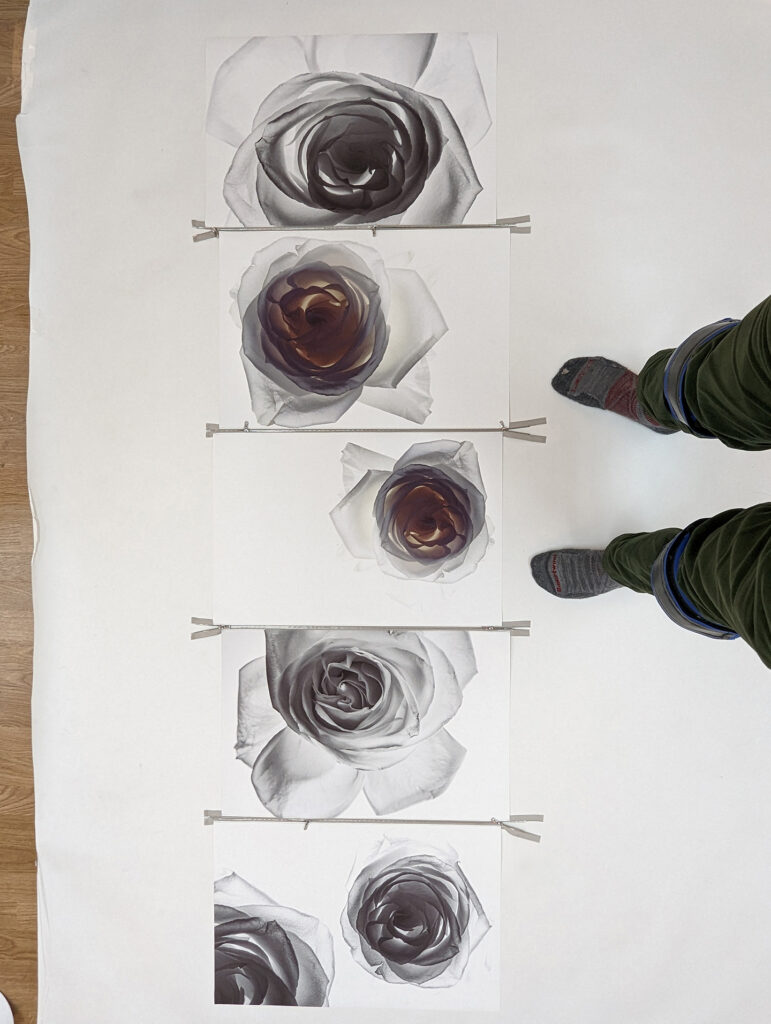 Fluxus Series year 2022 by Paul Solberg copy
