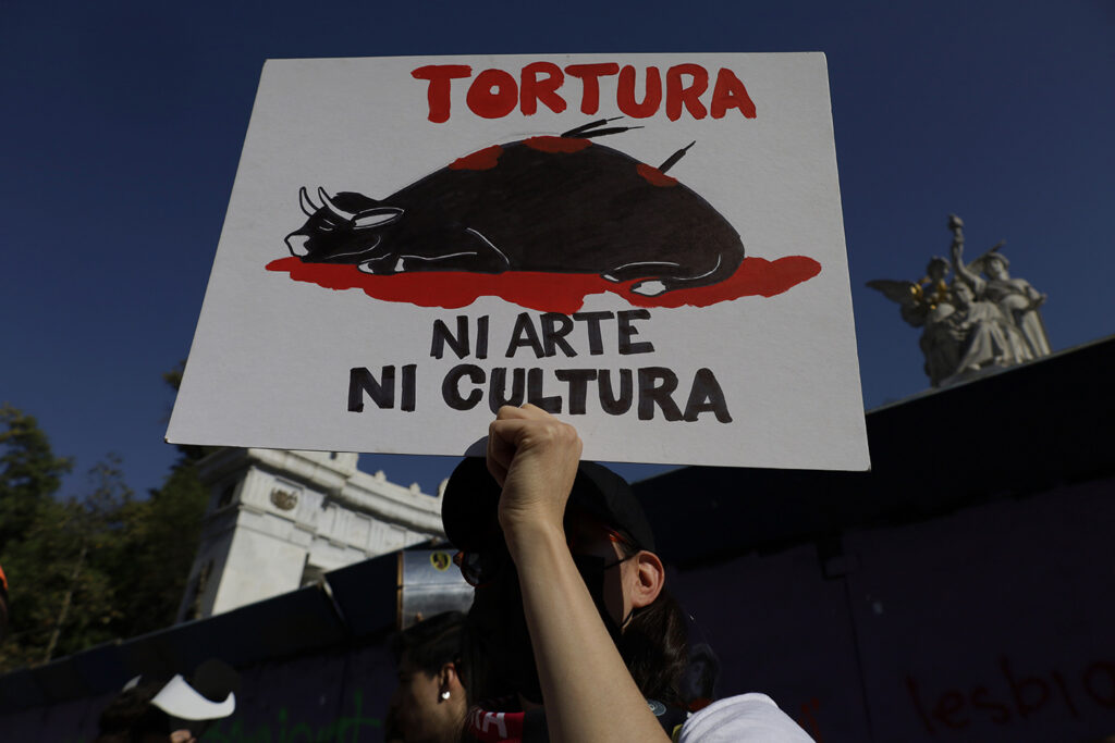Historic: Mexico City Congress Approves Resolution Banning Violent Bullfighting