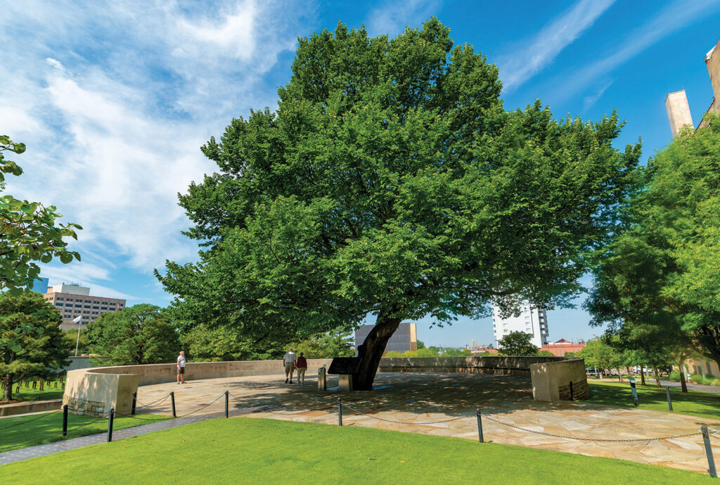The Survivor Tree, Oklahoma City National Memorial, Oklahoma