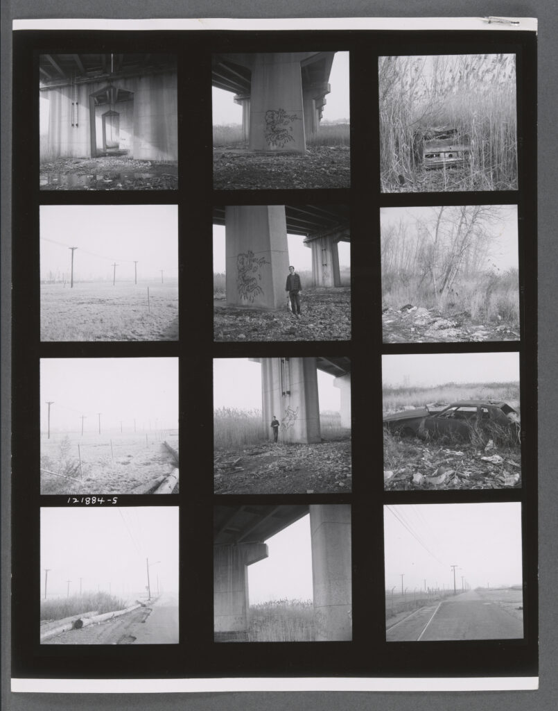 Hujar, Peter, 1934 1987, Contact sheet: Queens waterfront dogs dead cat NJ Caven Point, 12 18 84, recto, 2013.108:8.5789