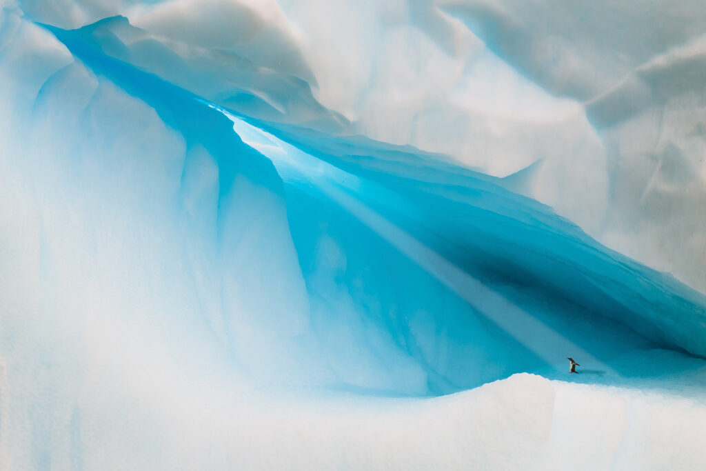 A penguin playing on the iceberg