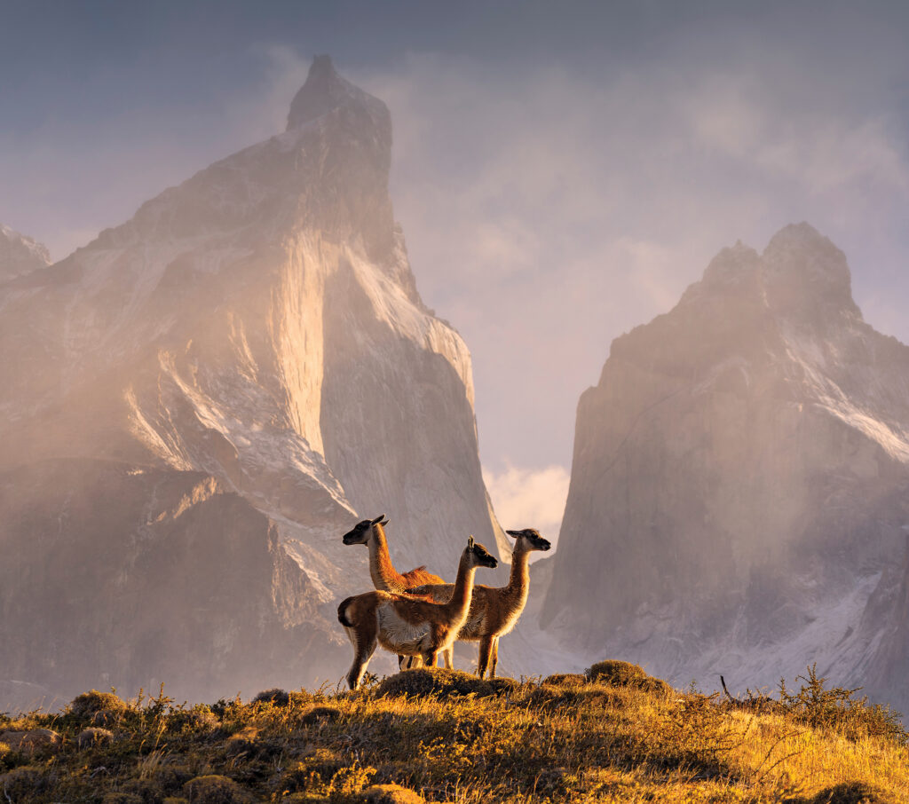Chile, Patagonia, Torres del Paine National Park