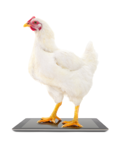 HEN Composite full
