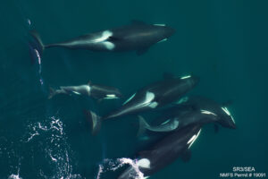 J pod group 2 copy