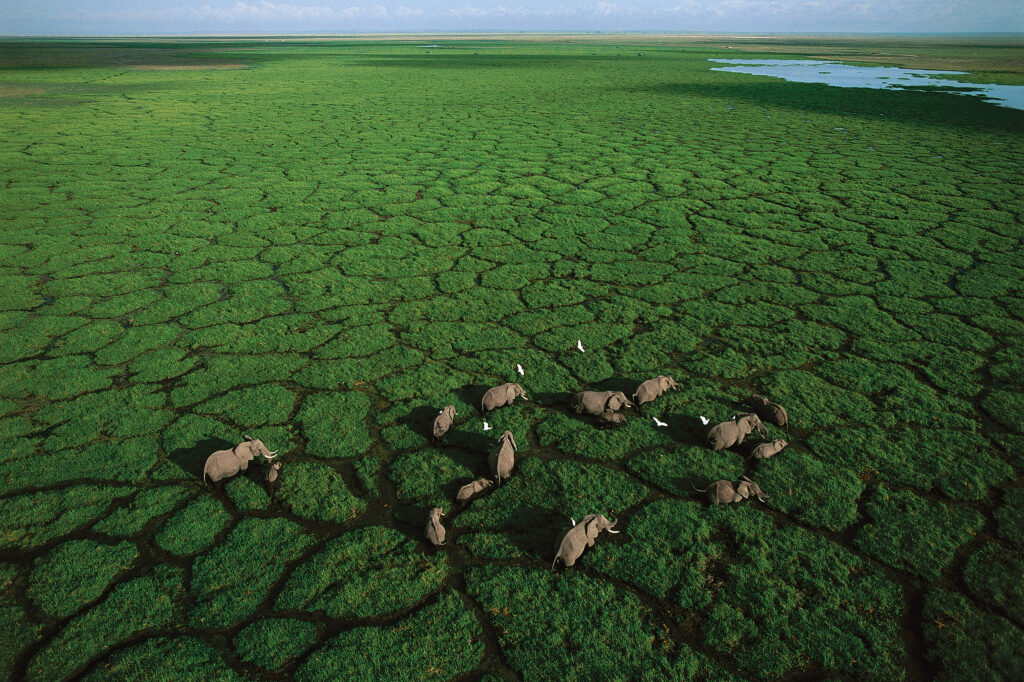 Africa Aerial Survey