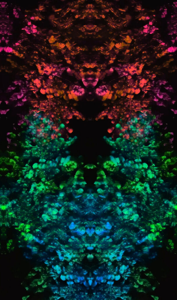 Kaleidocanopy001 copy