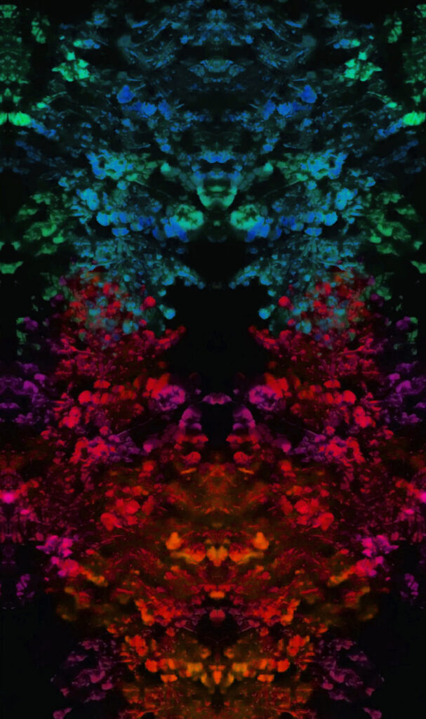 Kaleidocanopy003 copy