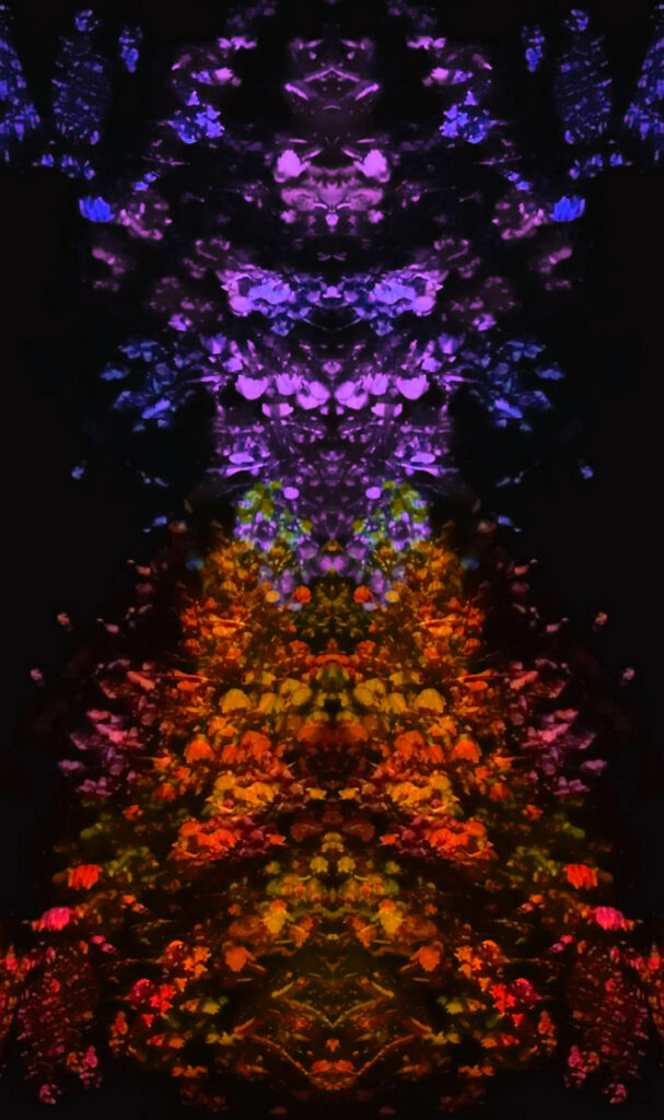 Kaleidocanopy004 copy