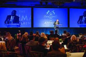 a speaker at the animal conference addresses an audience from stage