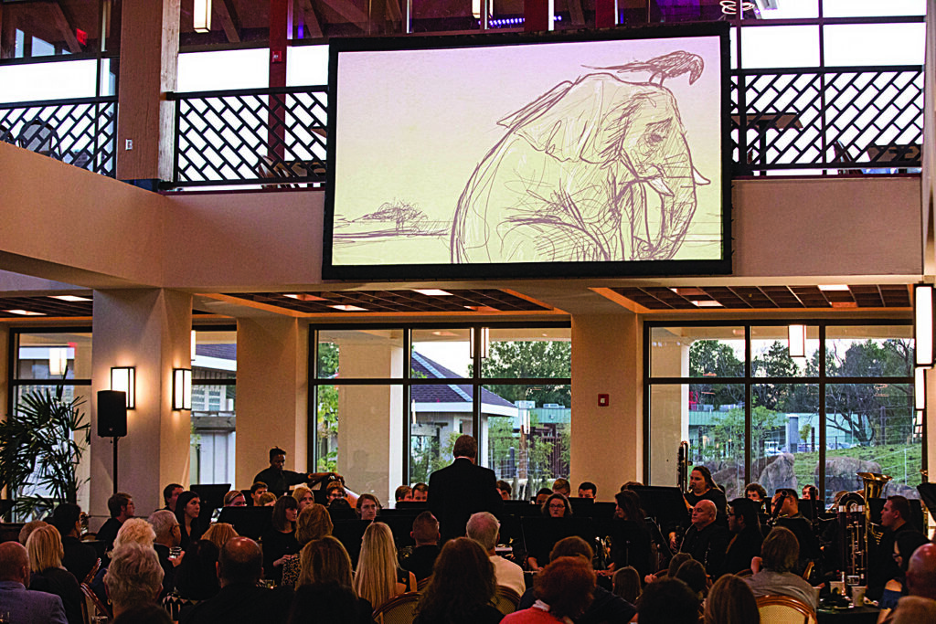RSVP: Great and Small elephant presentation | Issue