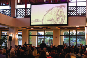 RSVP: Great and Small elephant presentation | Issue