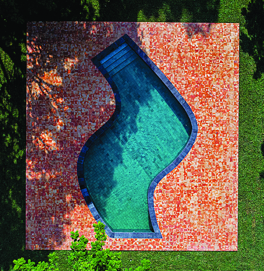 Nine Things: The Swim of Things Sarah Crowner, Fundación Casa Proal | Issue