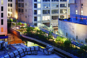 Feature: Chelsea Morning The Highline | Issue