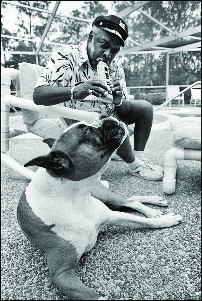 a man plays a small instrument with his mouth while sitting in a chair next to a pool while a dog "sings" beside him