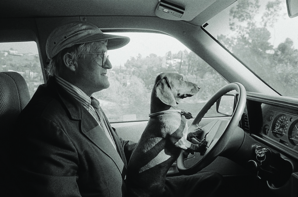 A man drives a car with a dog in his lap as the dog peers over the steering wheel