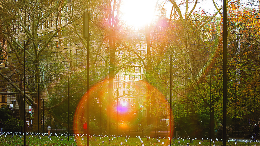 sun shines through the trees illuminating an urban park containing an art installation of numerous small, lighted spheres arranged in rows between trees, with surrounding buildings visible in the background.