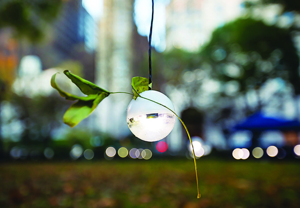Close-up of a glowing spherical light suspended from a wire and intertwined with leaves, part of an outdoor light installation in an urban park.