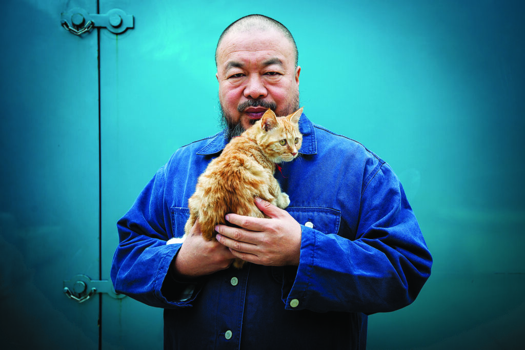 a man holds a cat in his arms in front of a turquoise wall