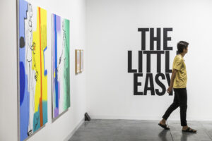 ABMB17, Nova, Galerie Laurent Godin, Alain Sechas Haim Steinbach, PR