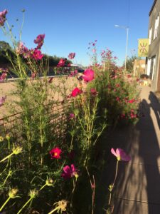 Marfa Sidewalk