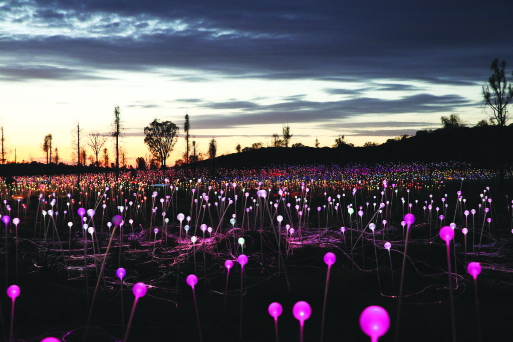 ULU.IlluminatedLandscape.High 72dpi (23) (1)