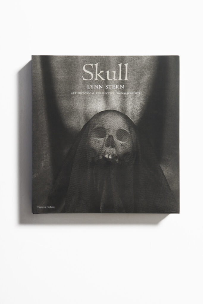 book cover for Skull